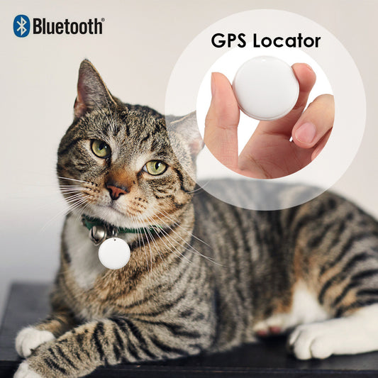 Smart GPS Tracker For Cat - Furry Paws Haven